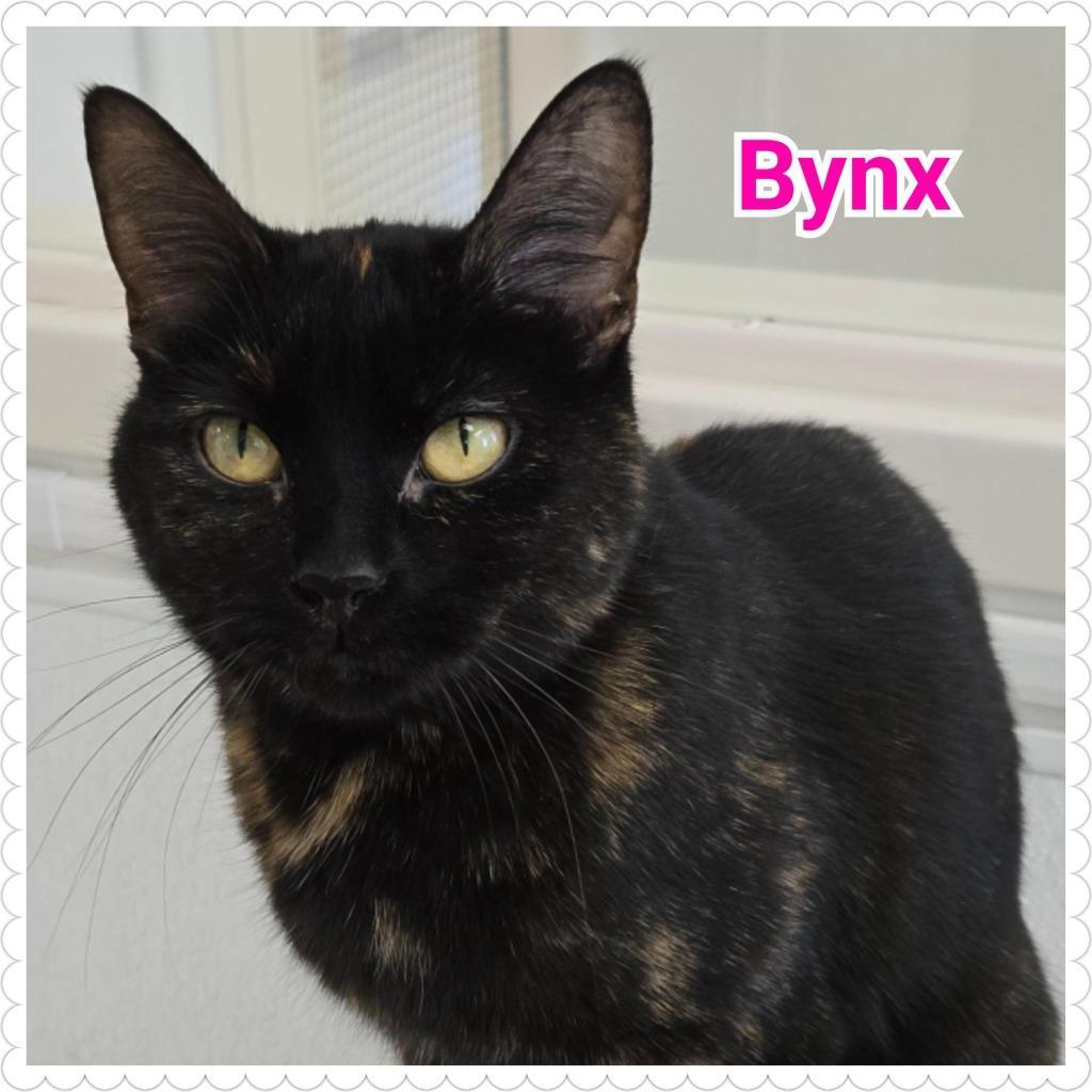 Bynx