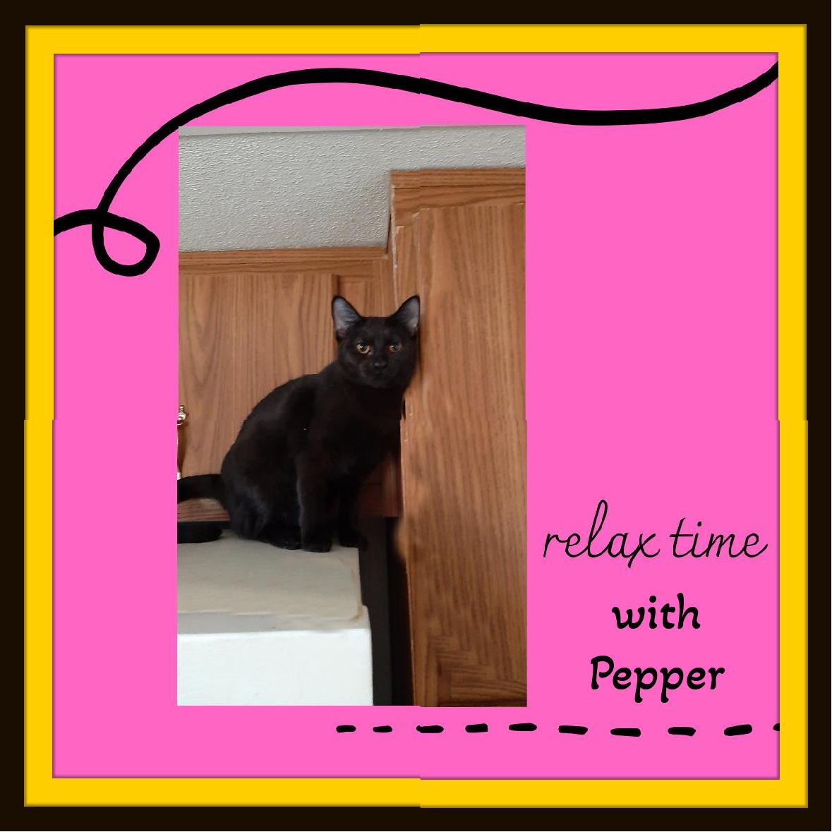 Pepper Lovey Lil Panther