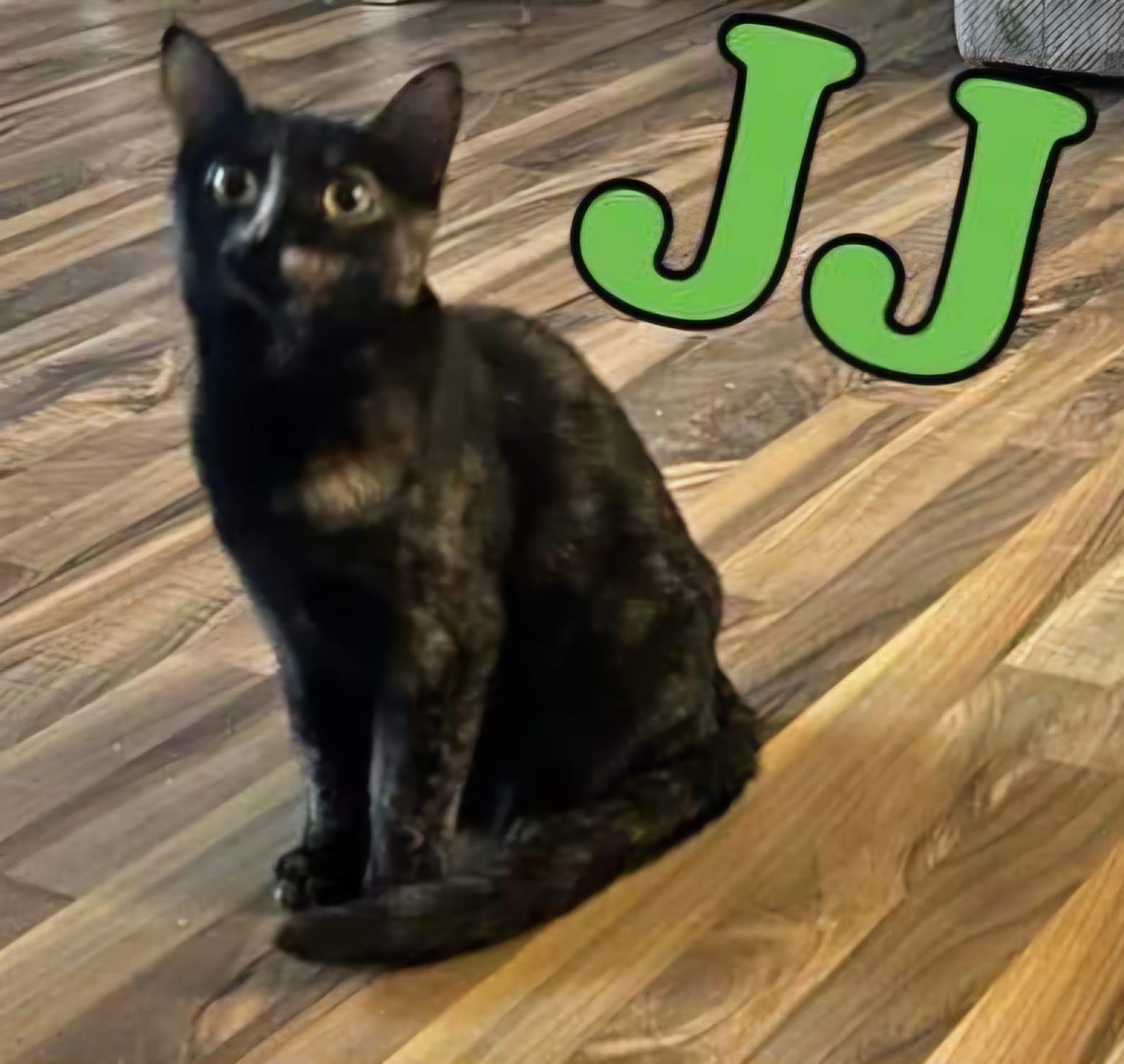 Jj