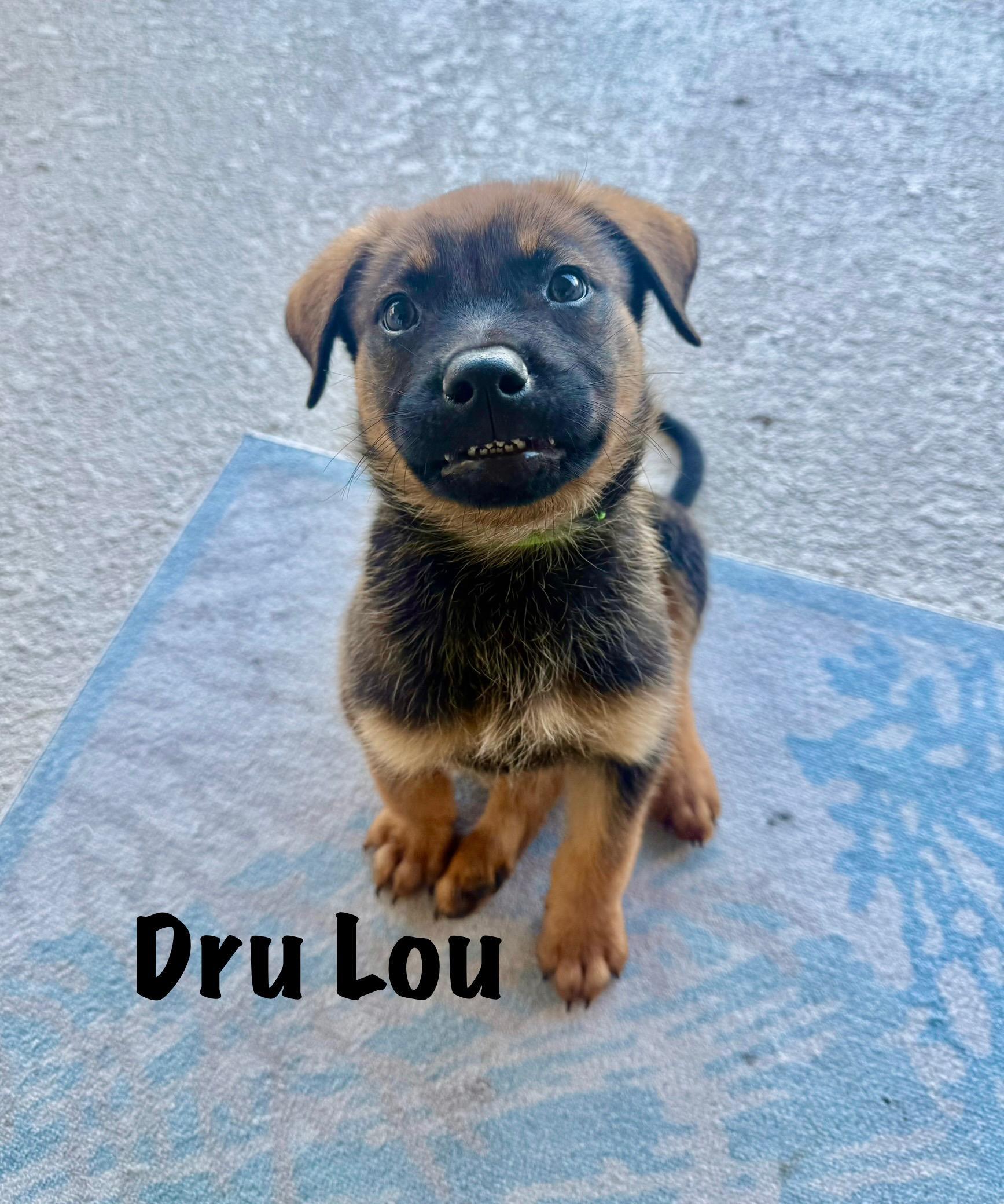 Dru Lou