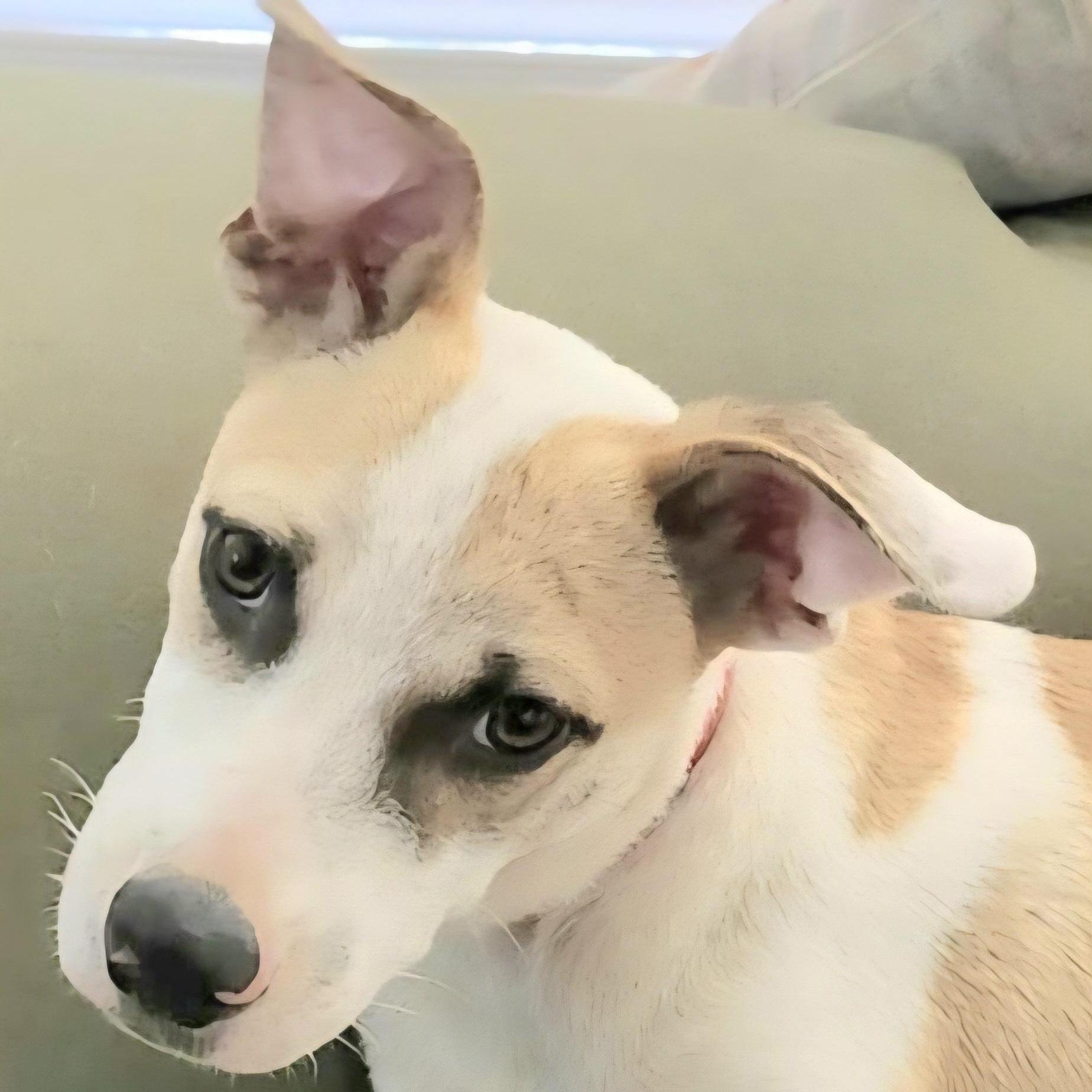 Baco "super Loving!"