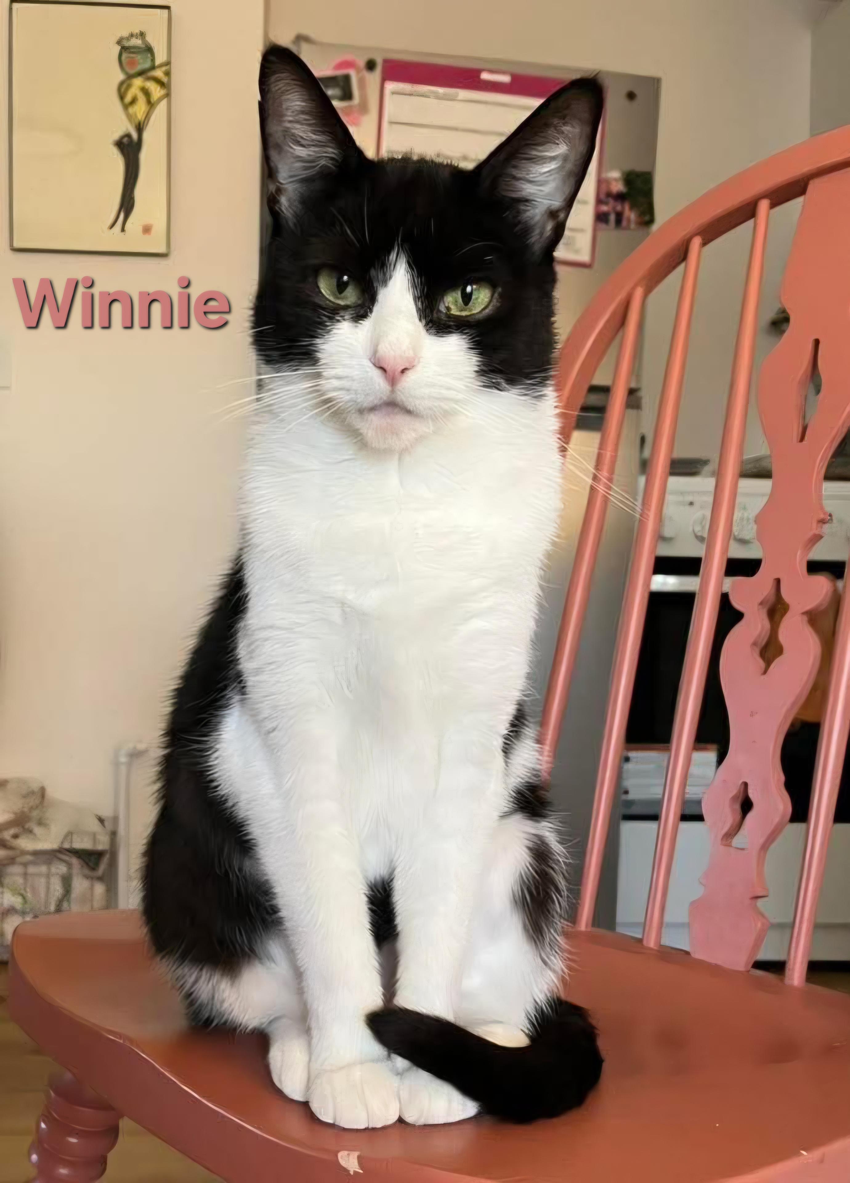 Winnie