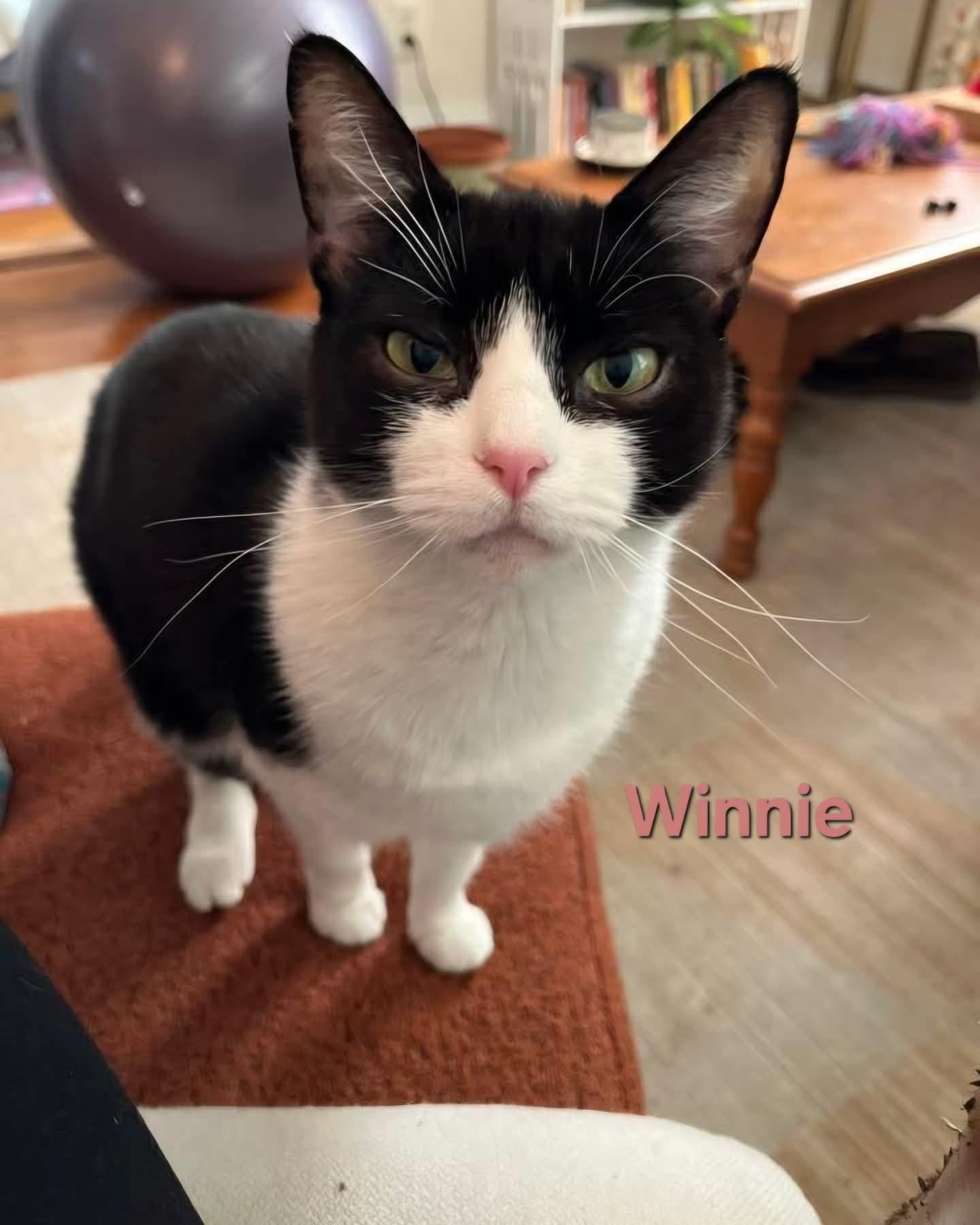 Winnie