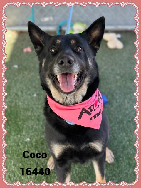 Coco