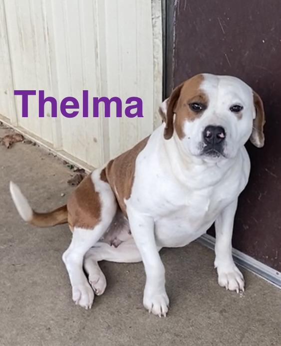 Thelma