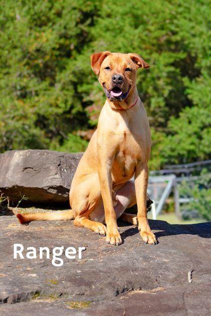 Ranger