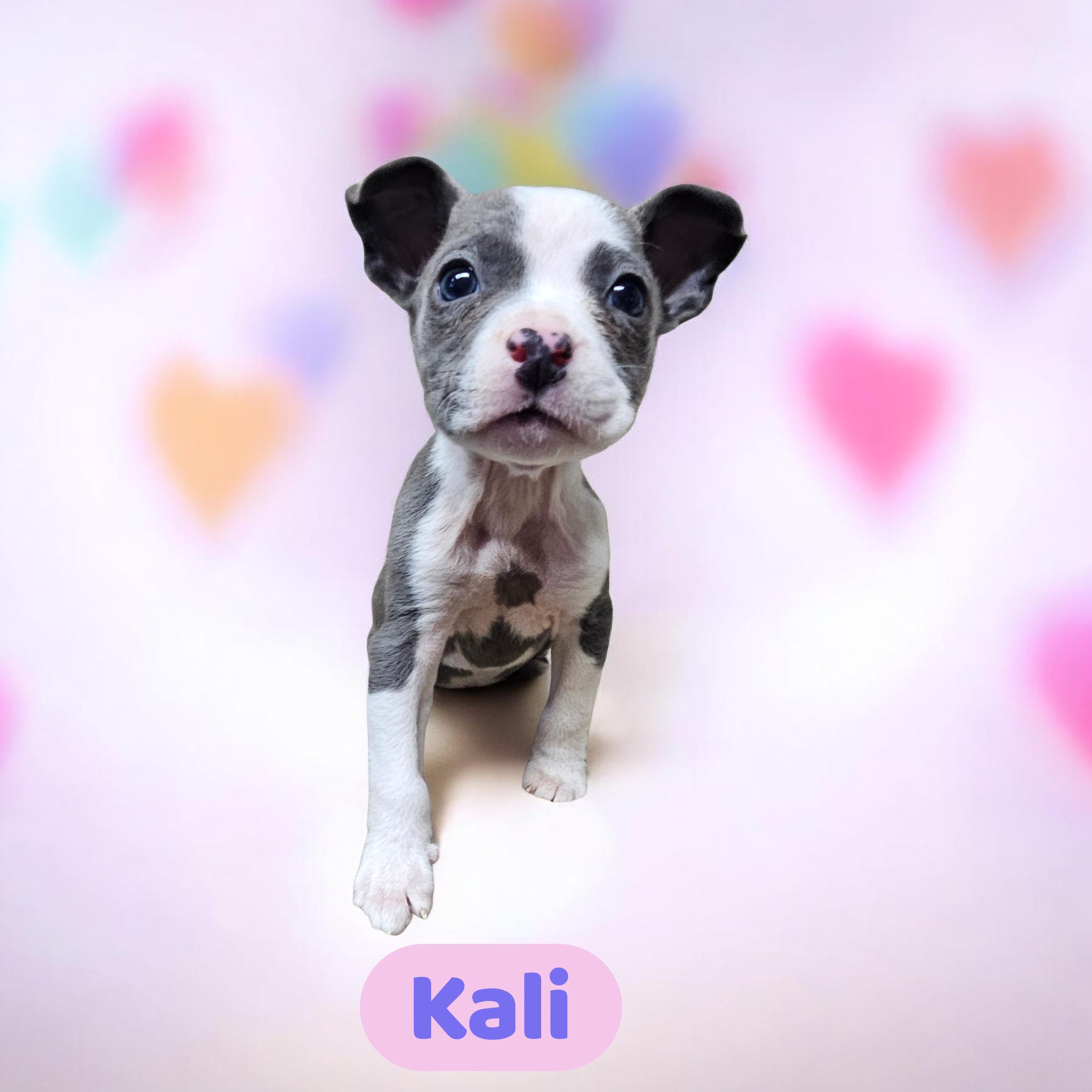 Kali
