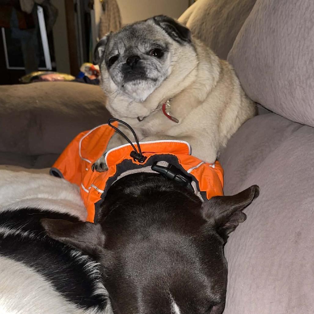 Minnie Mouse photo 1