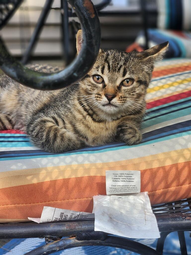 Stella & Bella photo 1