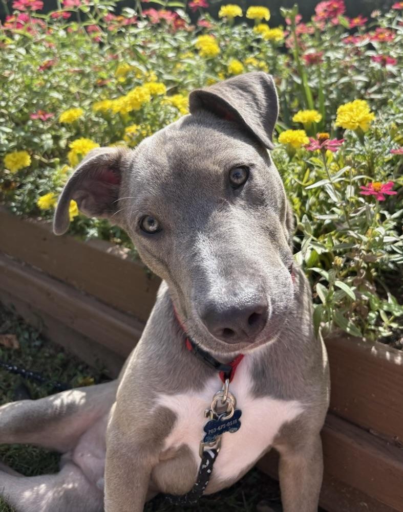 Let's Do The Twist!!!!