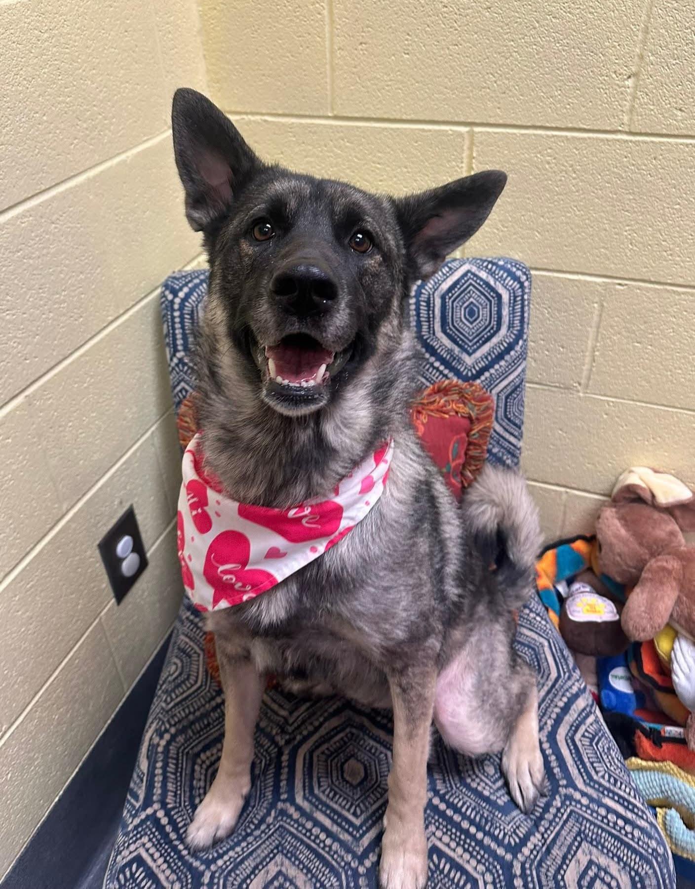 Sprouse Staff Favorite