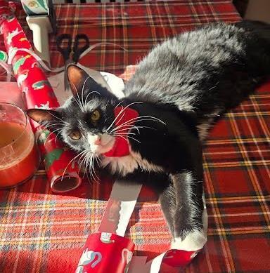 Jeremiah `a Priority