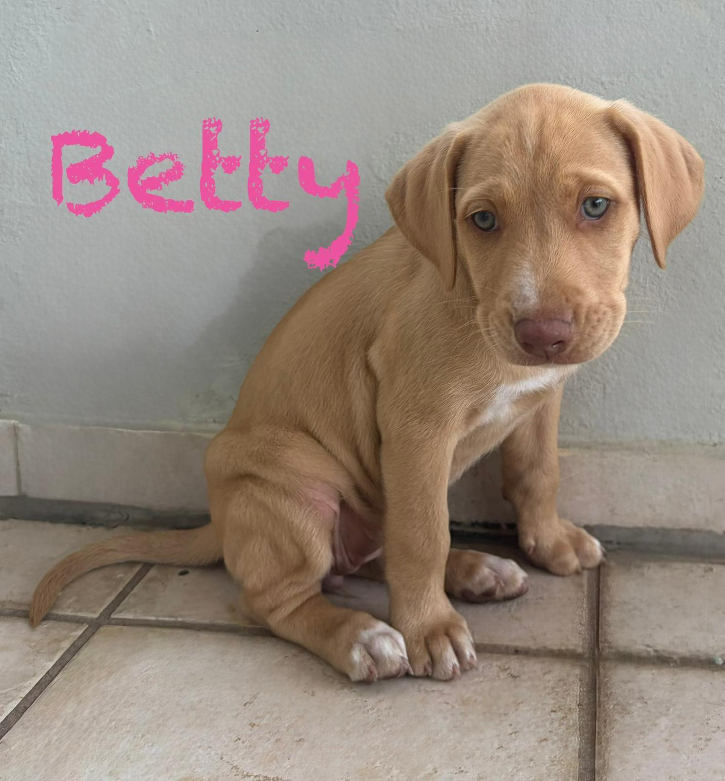 Betty photo 1