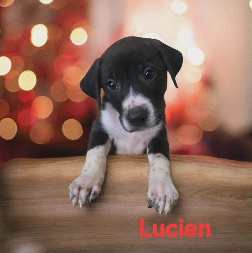 Lucien