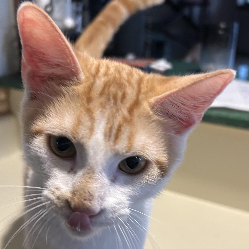 Small Fry Nn photo 1