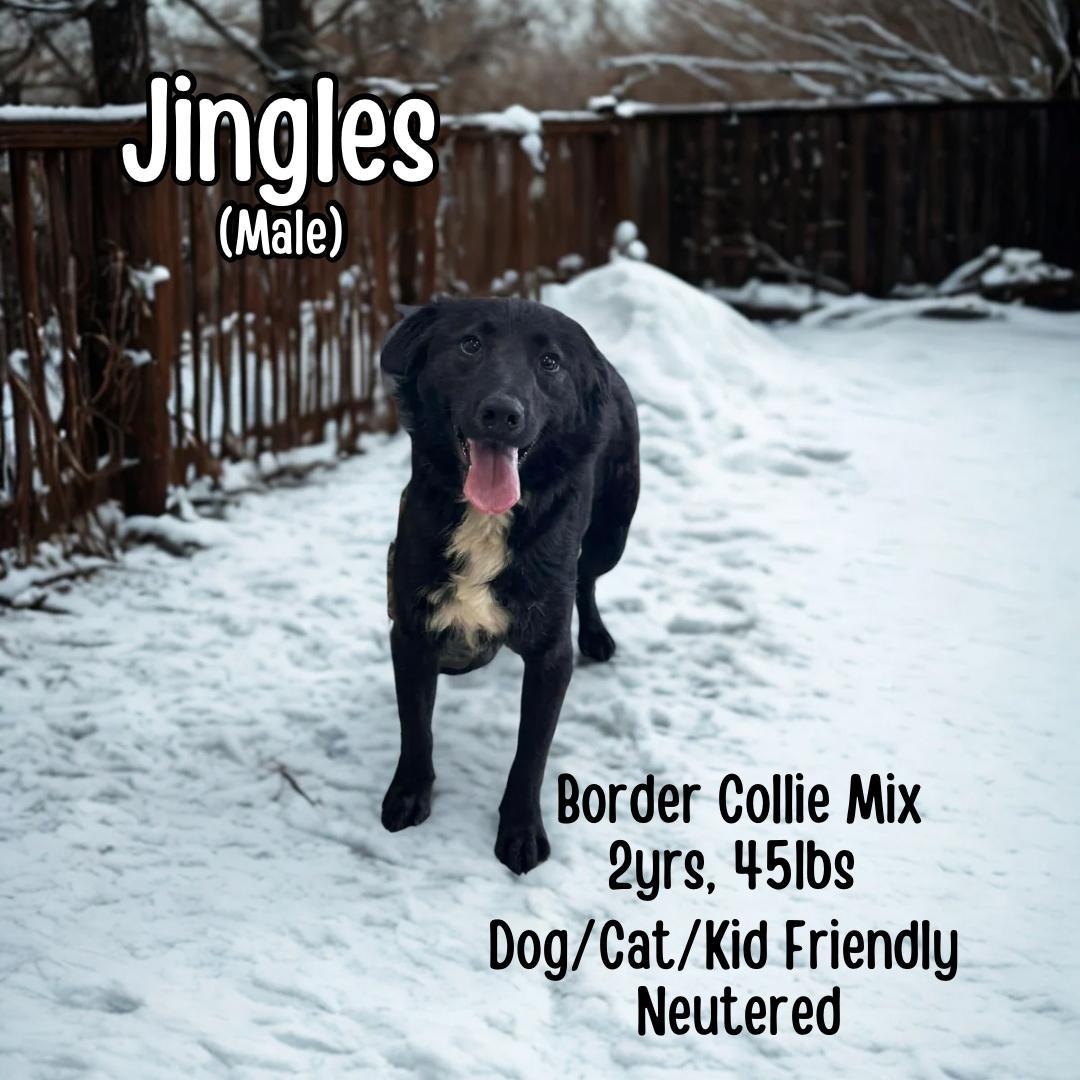 Jingles