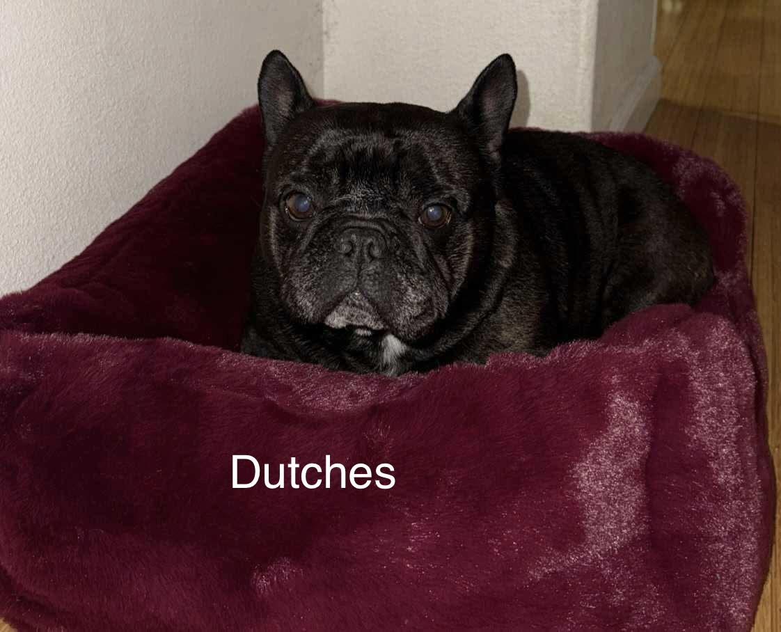Dutches