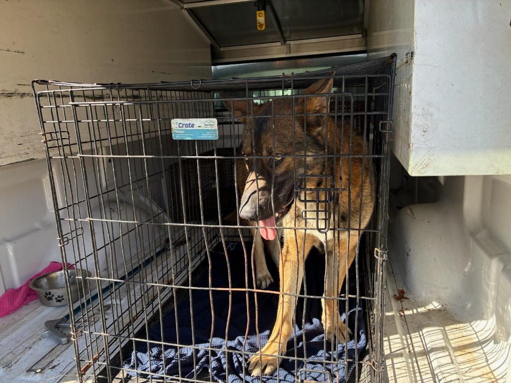 Marinebite Quarantine Until