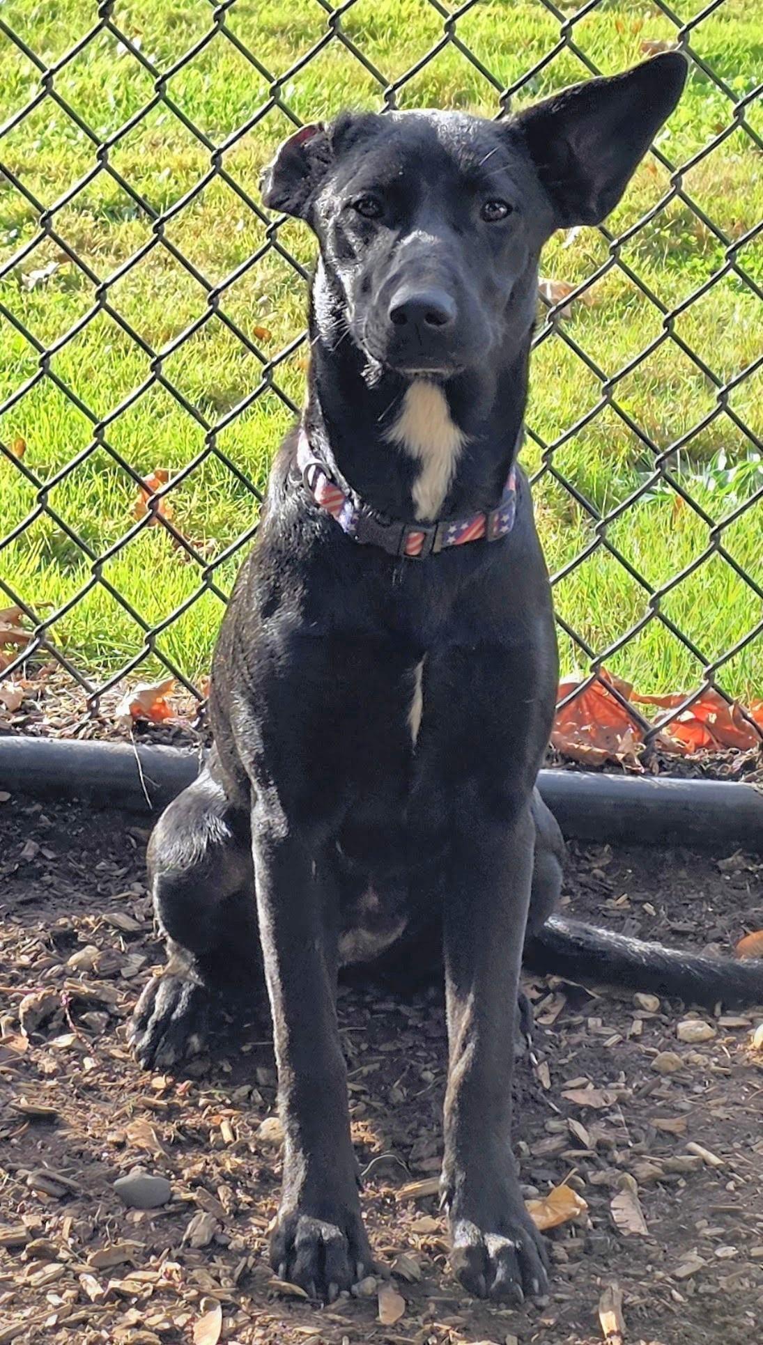 Lilly
