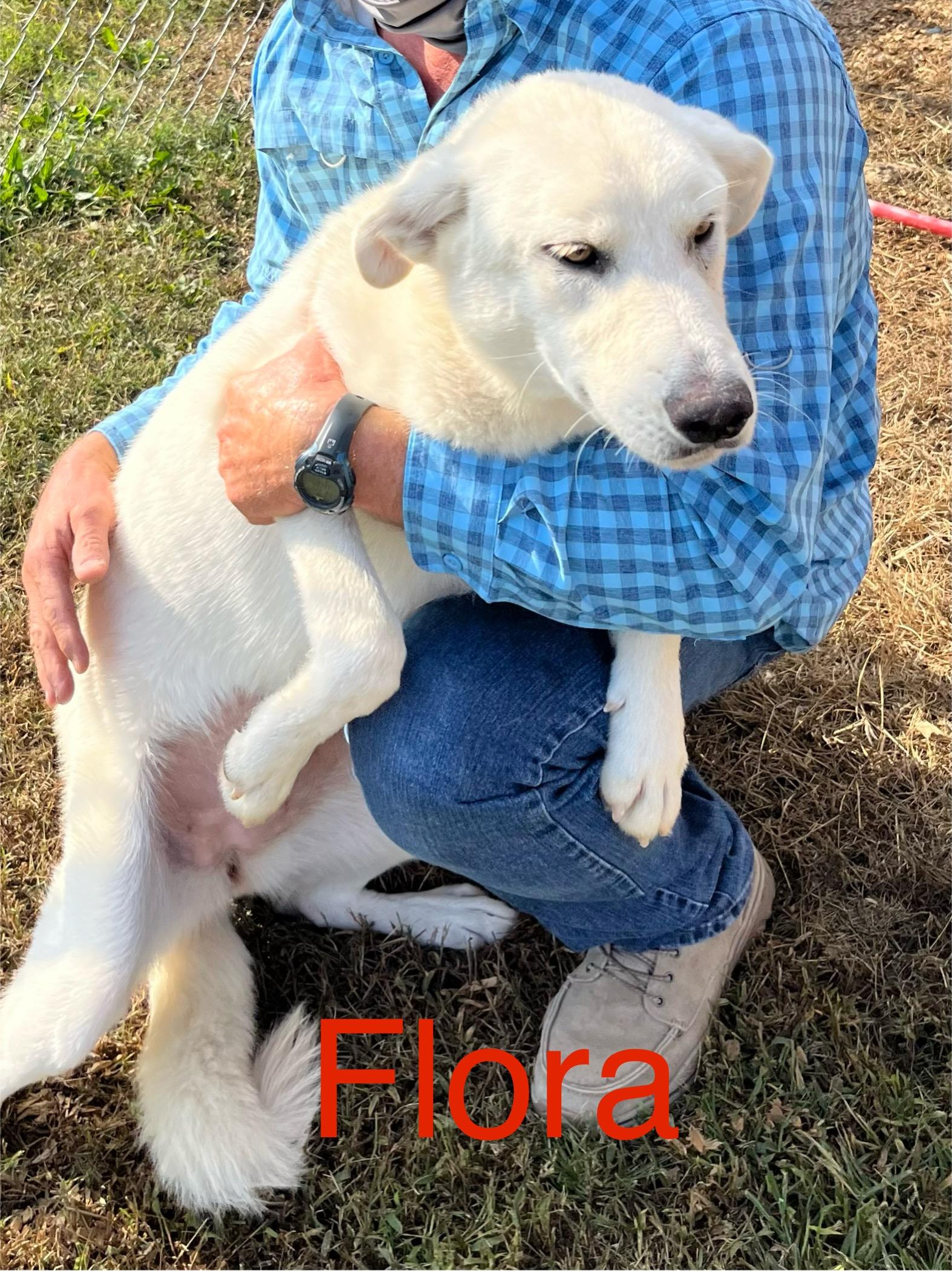 Flora