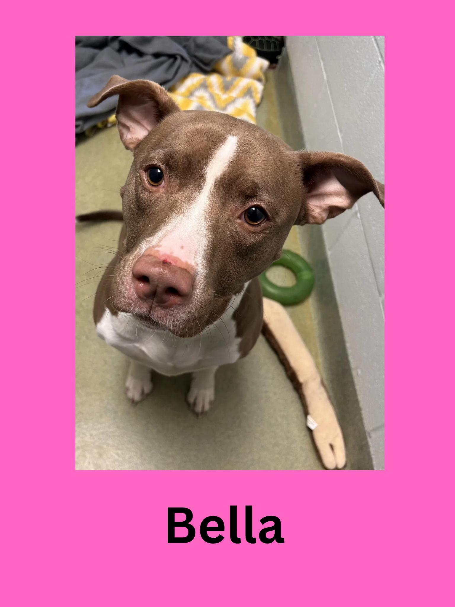 Bella
