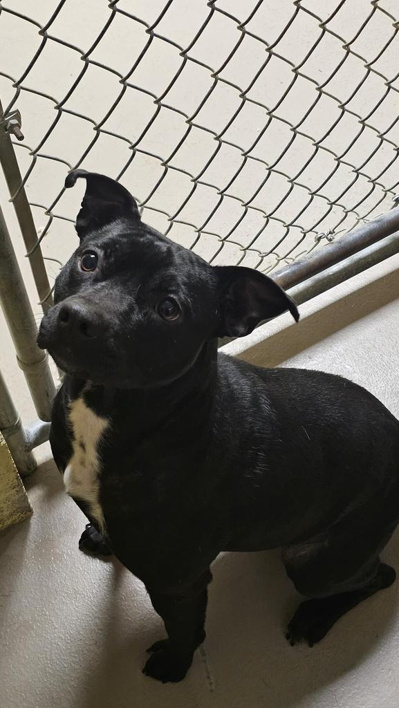 Candy Coated Rain Drop