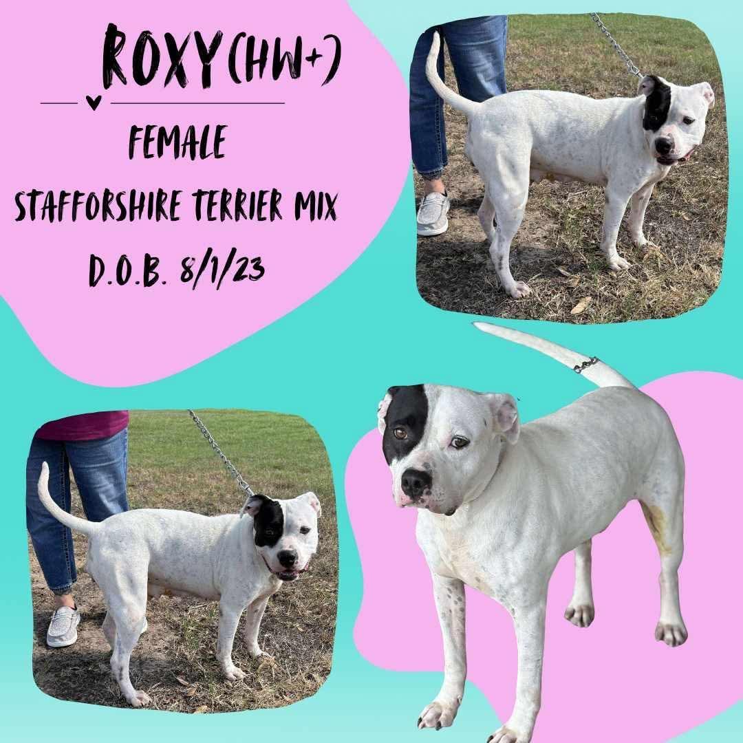 Roxy