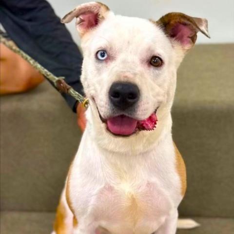 Lunareally Wants To Connect