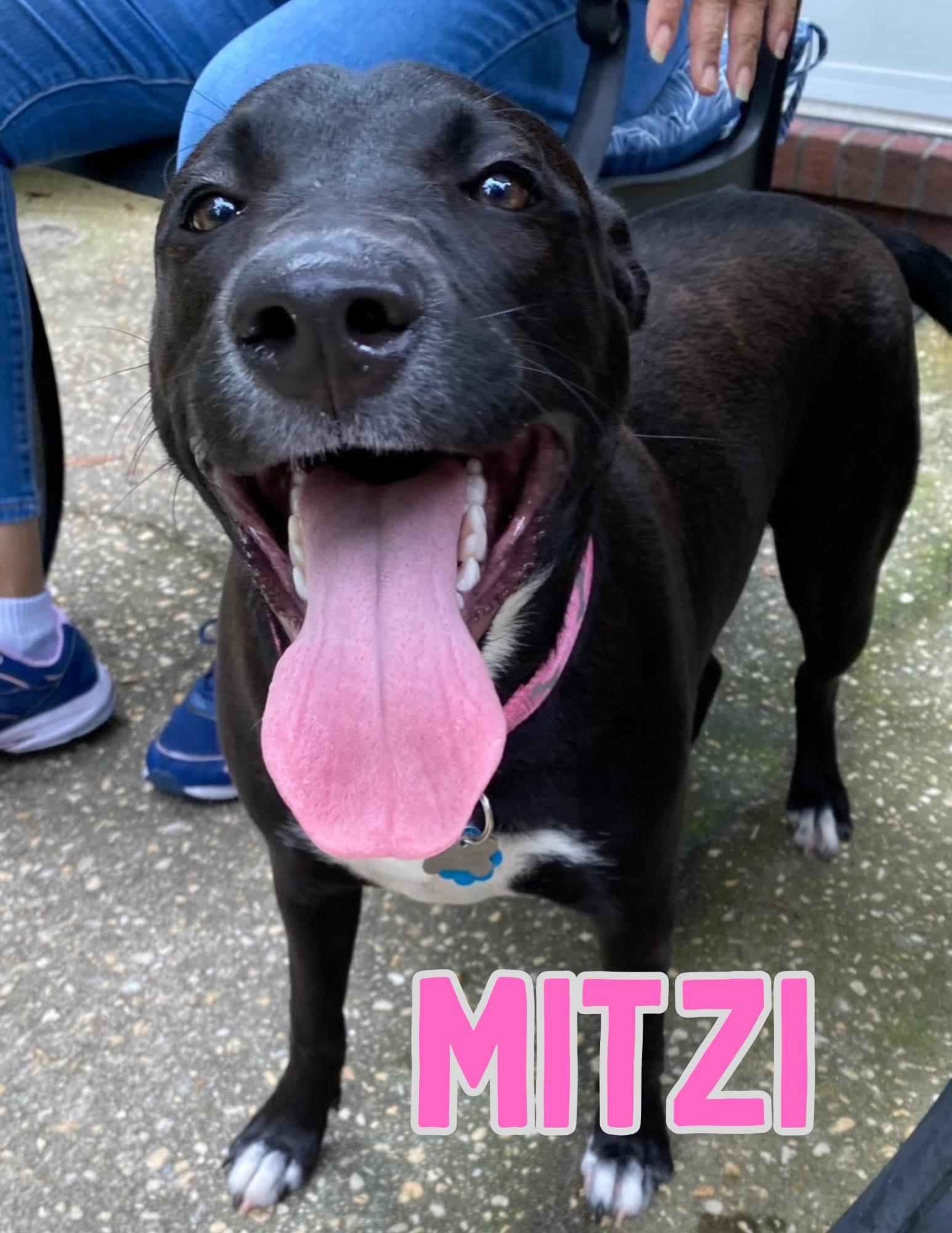 Mitzi