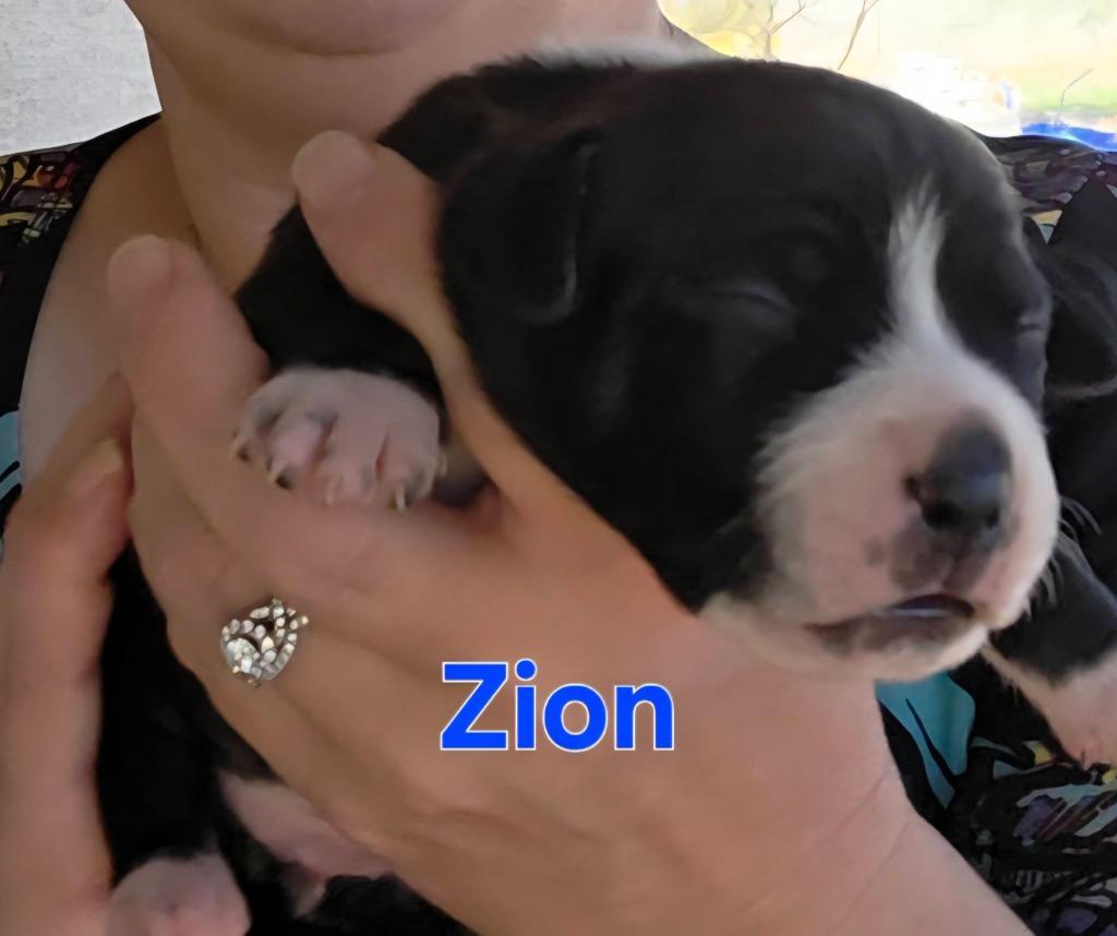 Zion