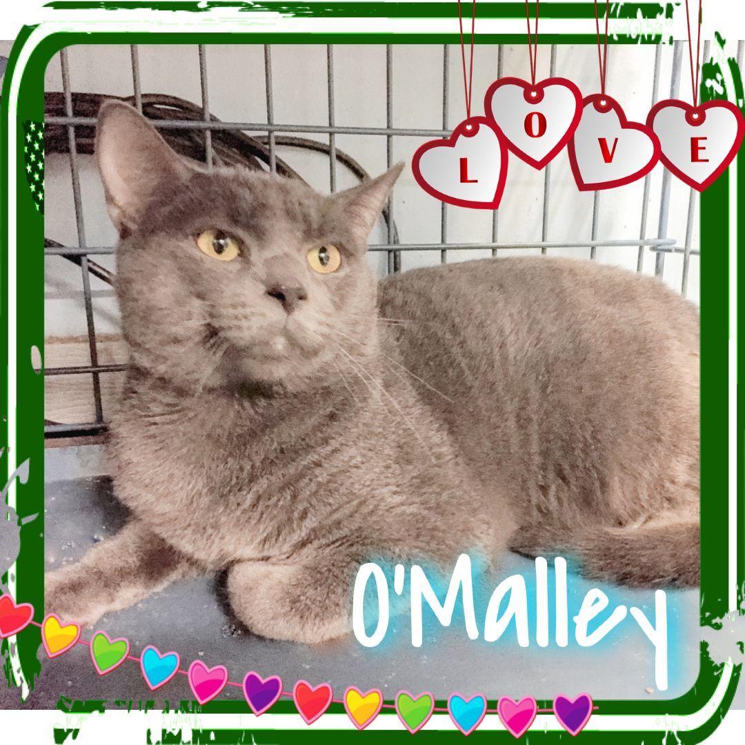 O'malley