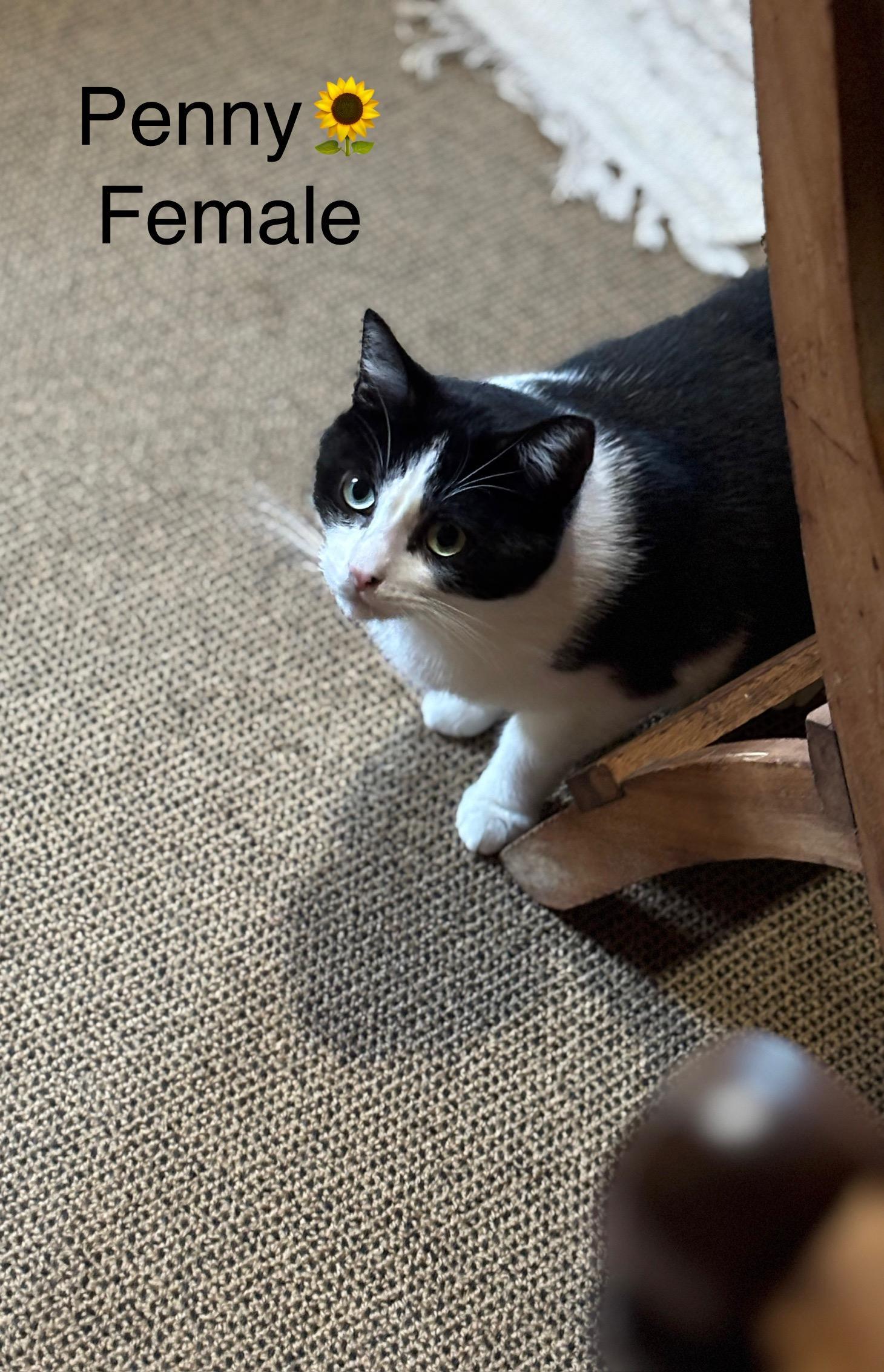 Sage And Penny photo 1