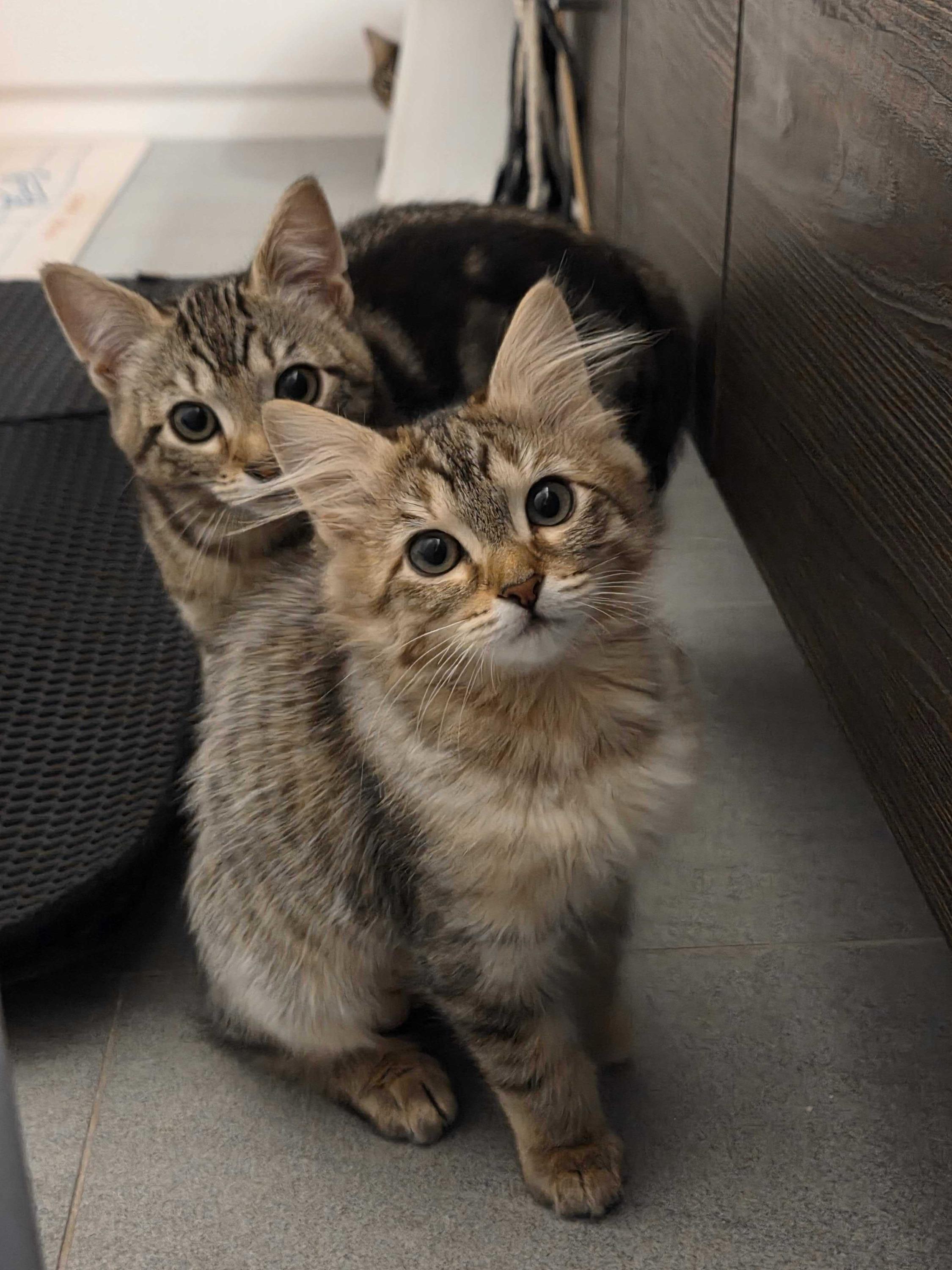 Liam And Chloe photo 1