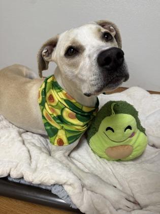 Willow The Wiggliest