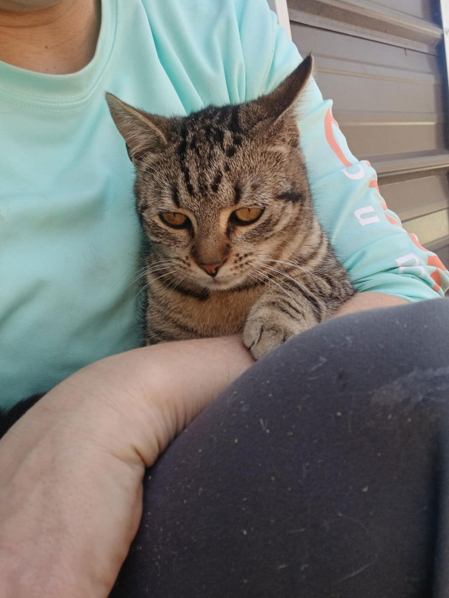 Judy C Cunninghman photo 1