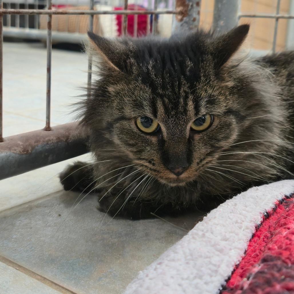 It's A Wonderful Life