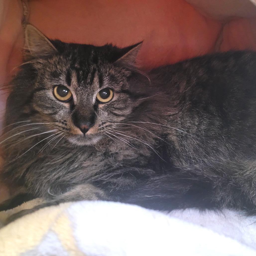 It's A Wonderful Life