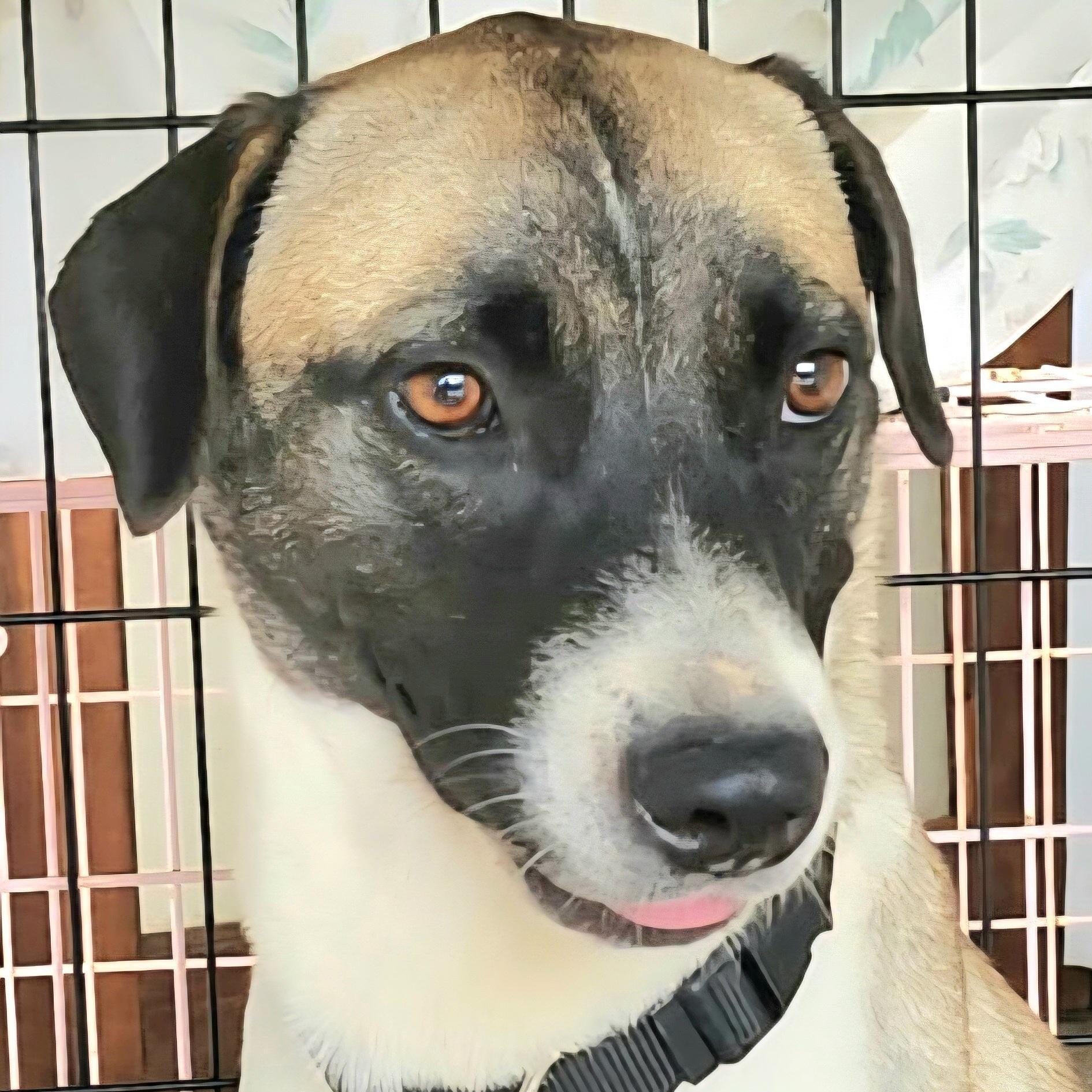 Hecate "a Gentle Beauty."