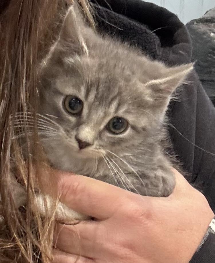 Trudy And Trenton photo 1