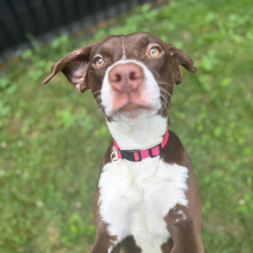 Sweetie Bell photo 1