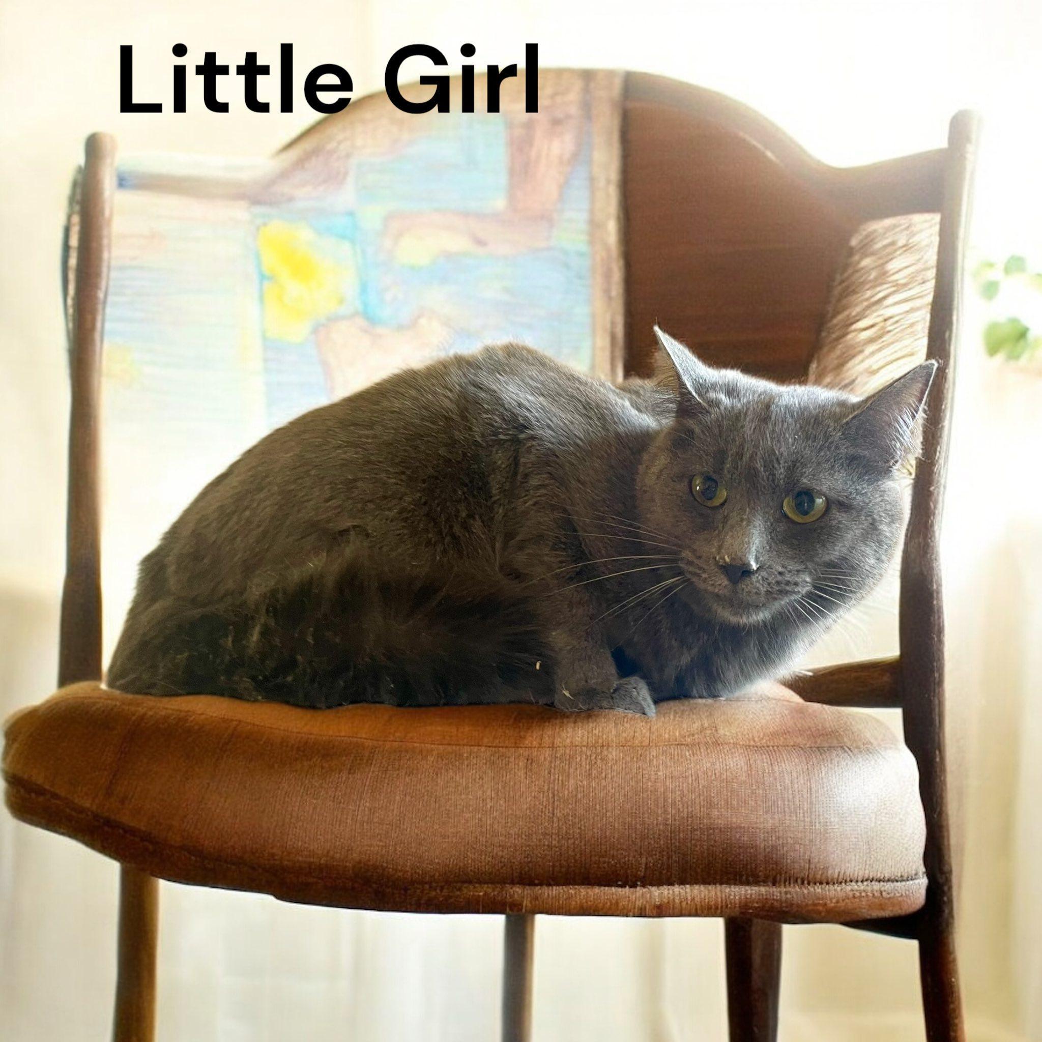 Little Girl