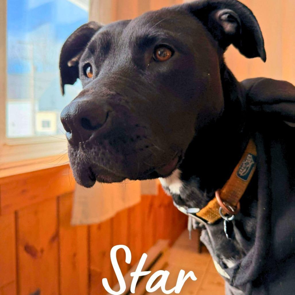 Star