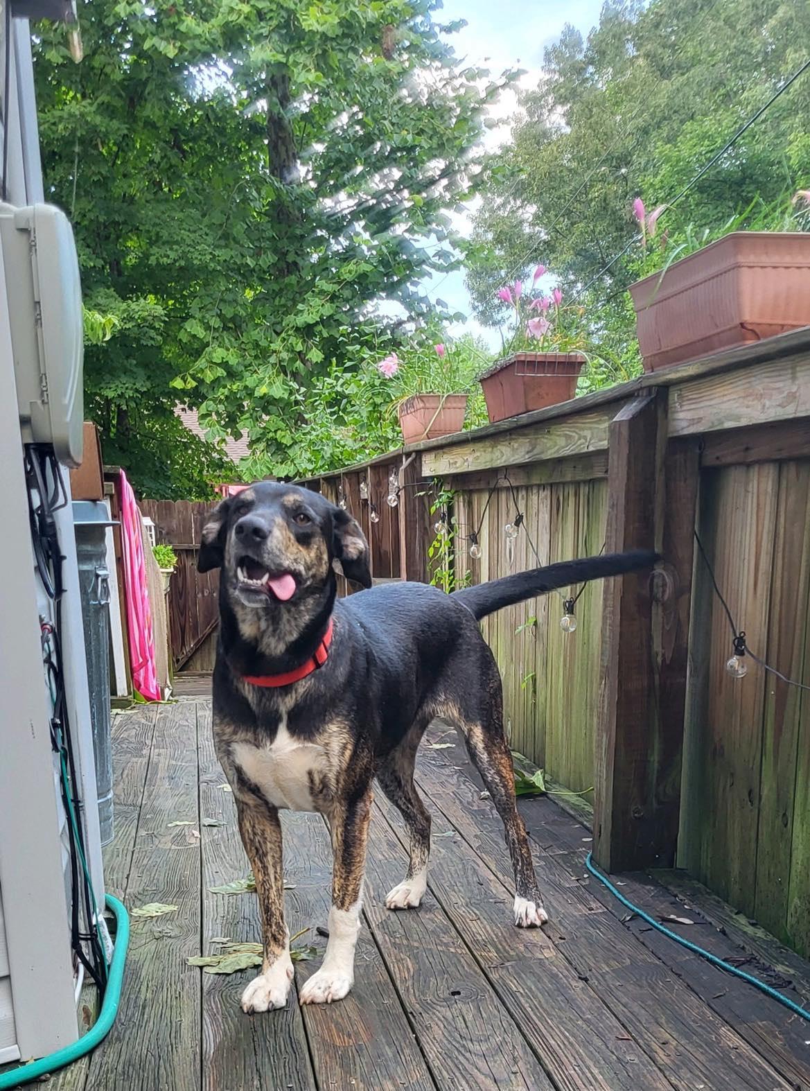 Yona..........fee Sponsorship