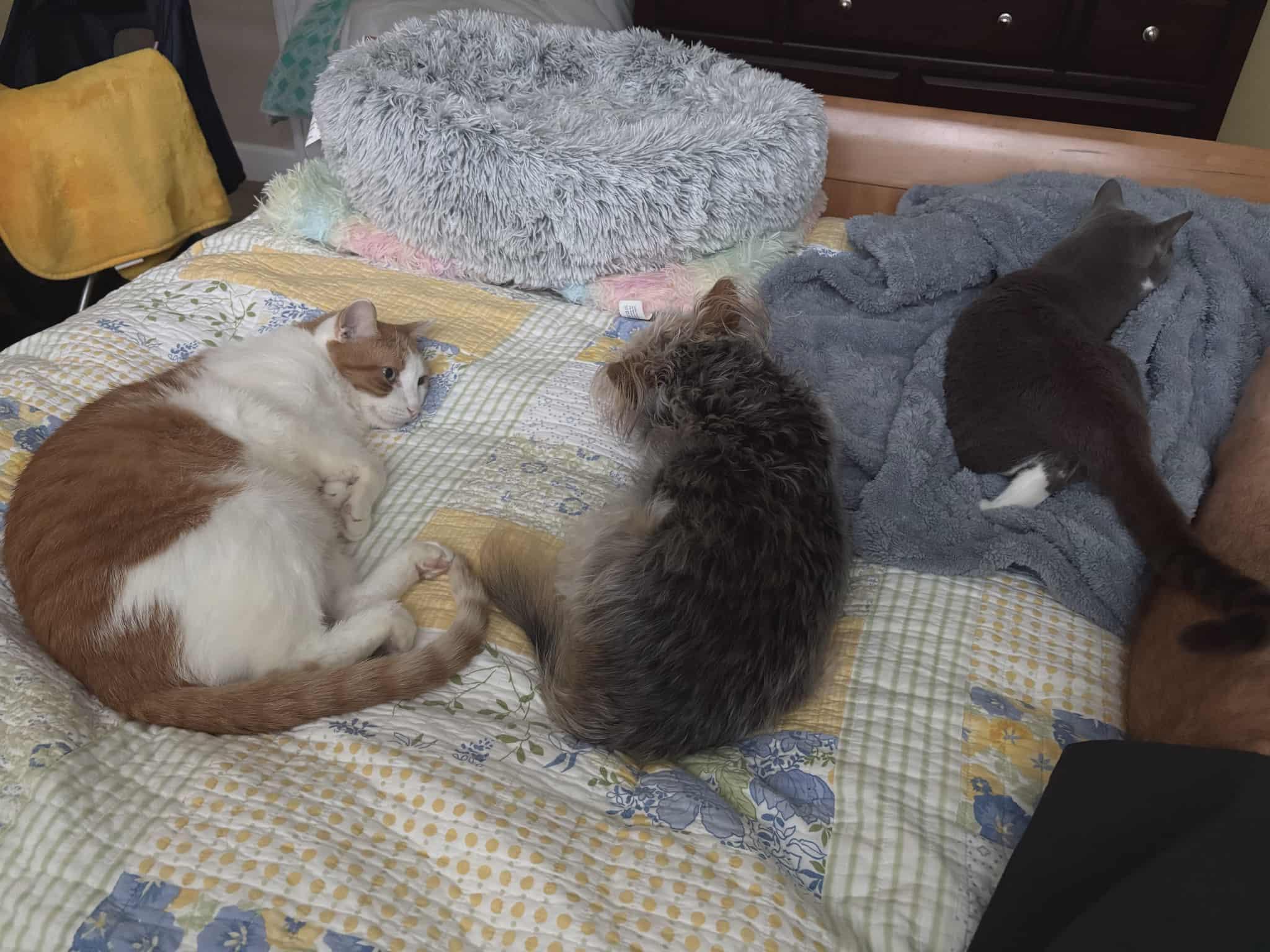 Jaycovery Sweet And Loving