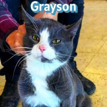 Grayson