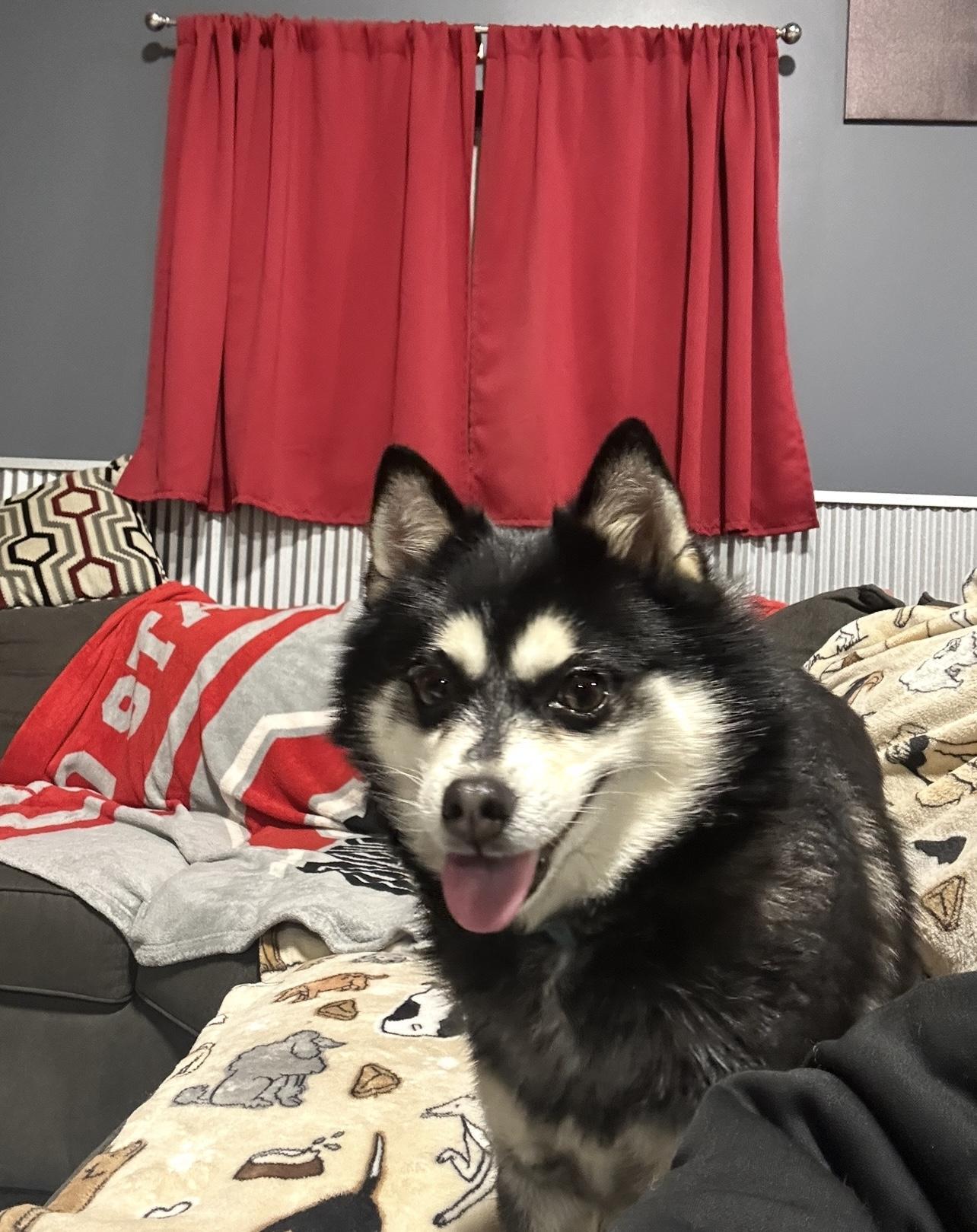 Little Thing! Zuckie photo 1