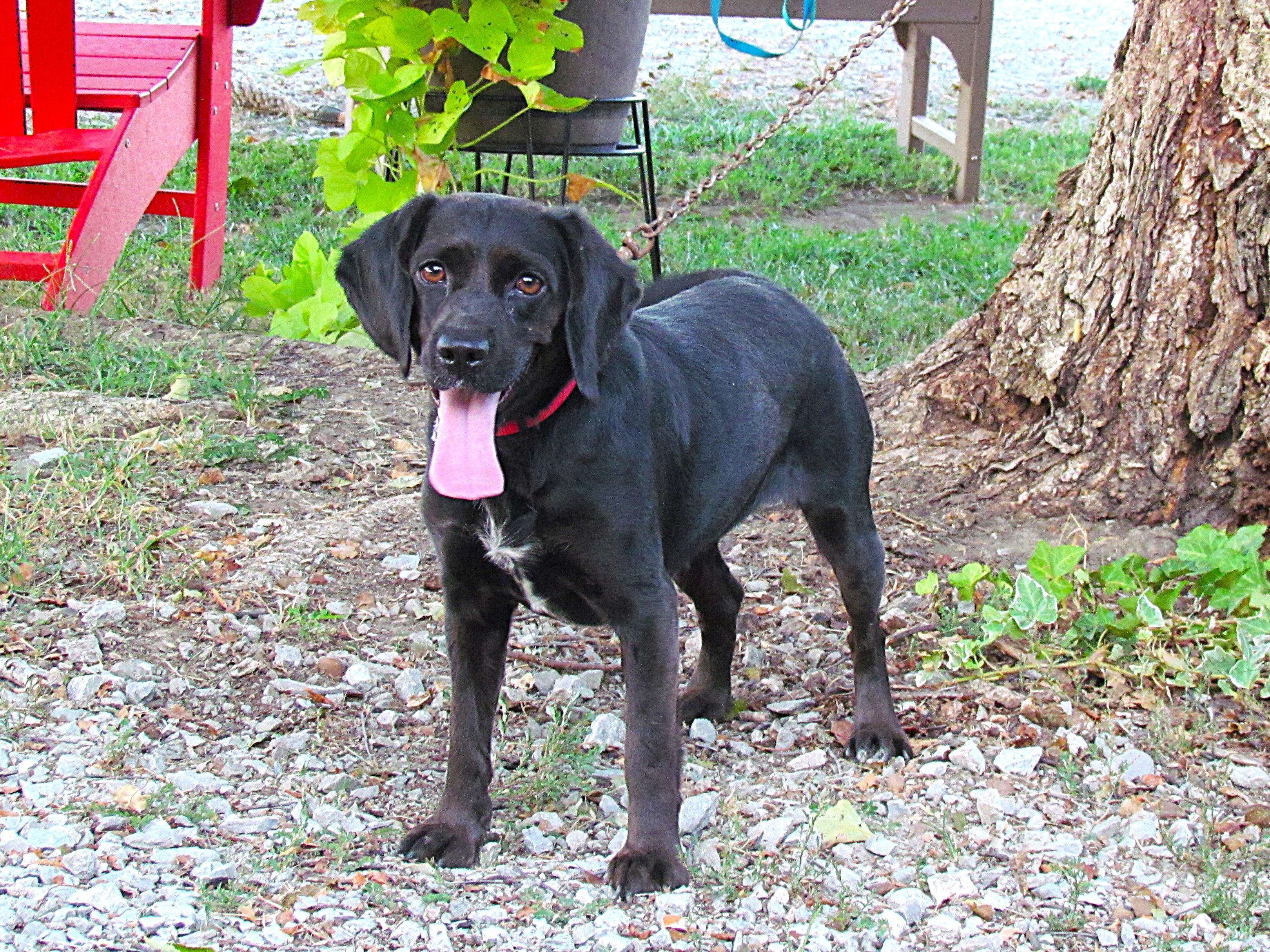 Molly Gibsoncome Meet