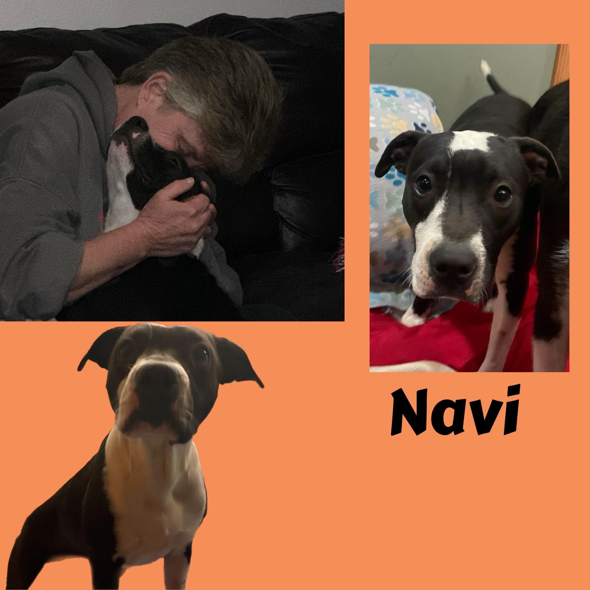 Navi