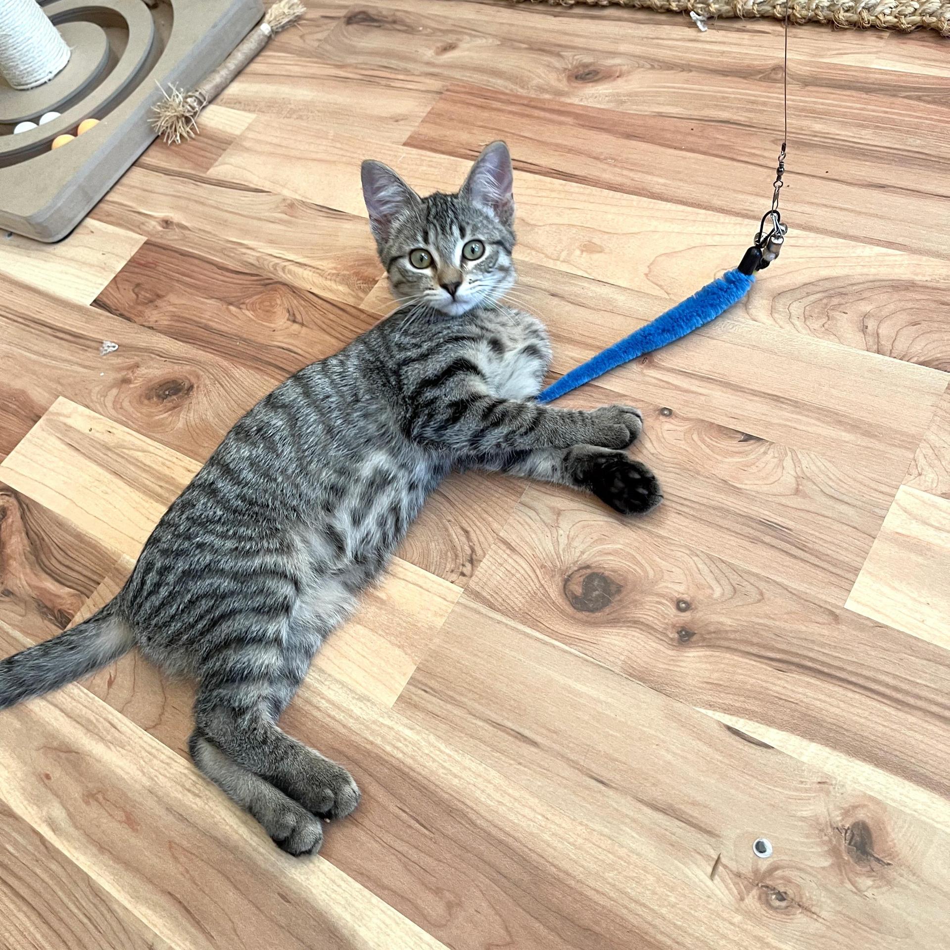 Mashed Potatoes photo 1