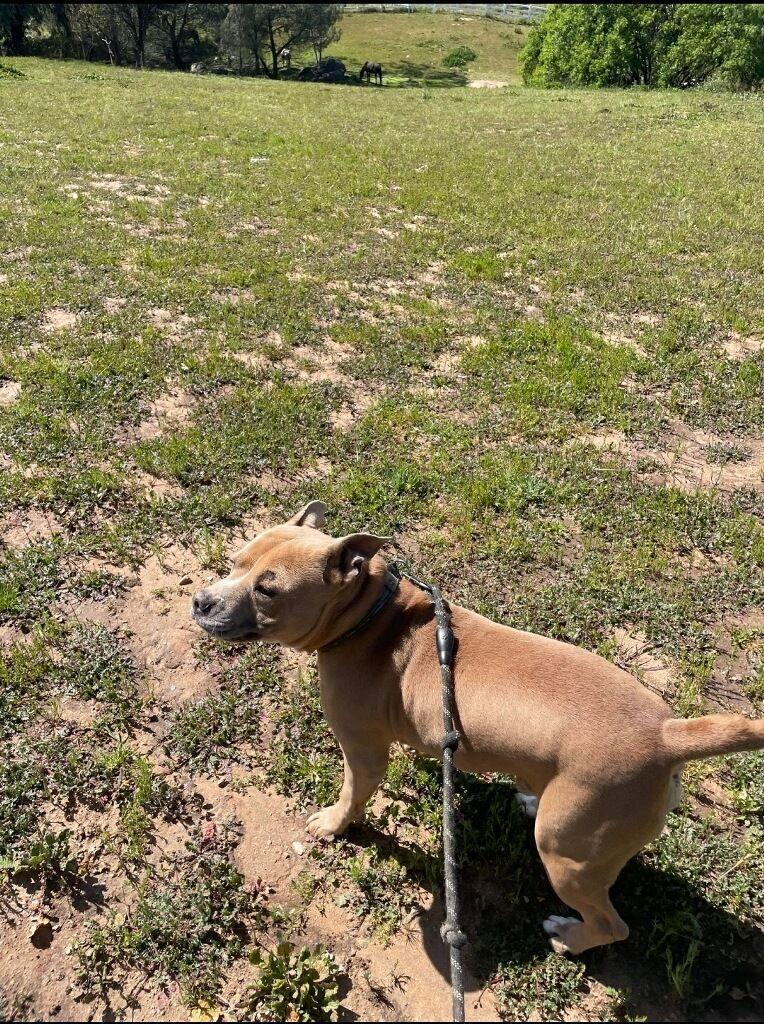 Prince Romeo ... Where